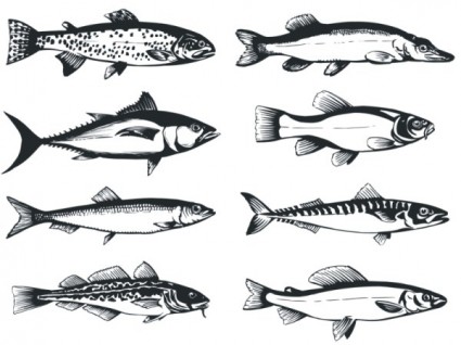 Free Fish Vector Art