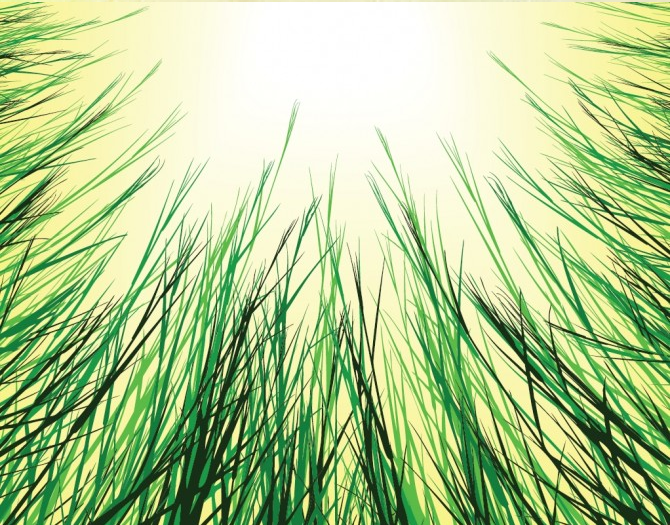 Free Grass Graphics