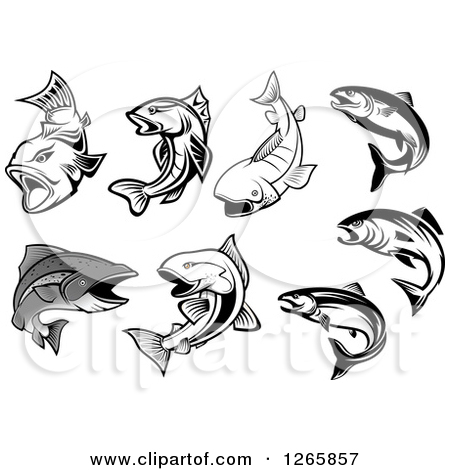 Free Salmon Clip Art Black and White