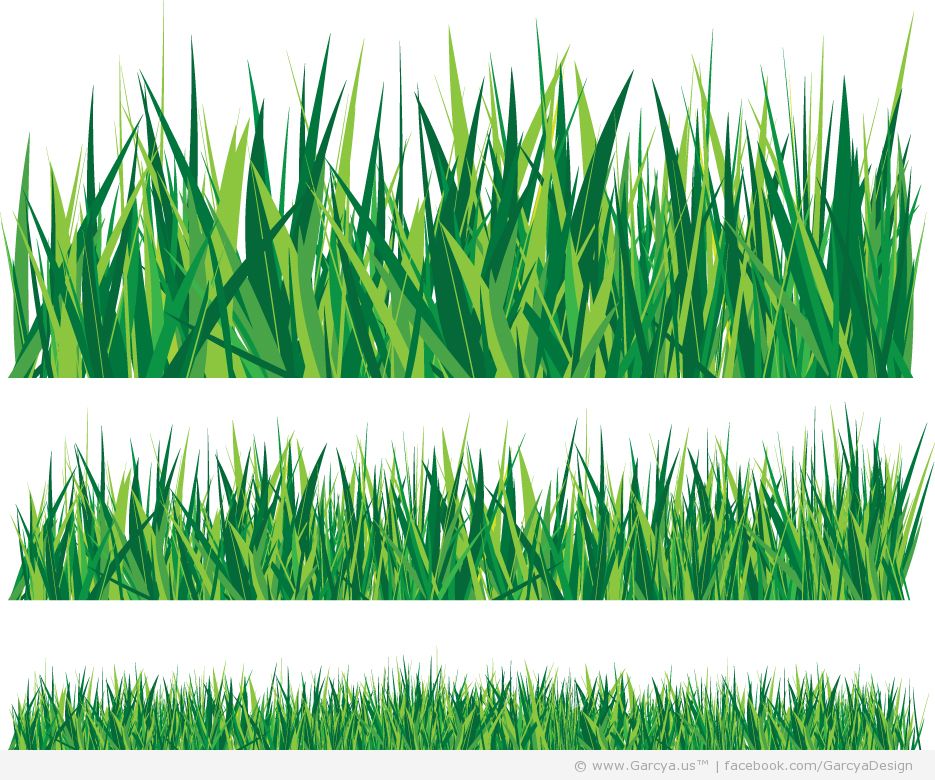 15 Grass Vector Graphic Images