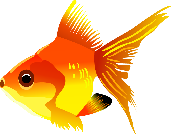 Free Vector Icon Fish