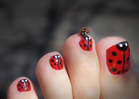 Ladybug Toe Nail Art