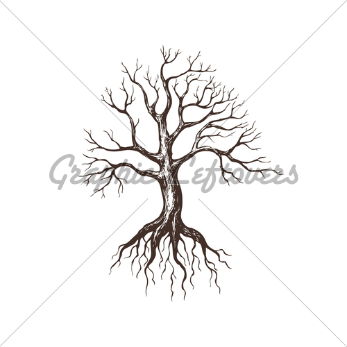 Leafless Tree Drawing