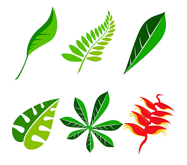 Leaves Vector Art