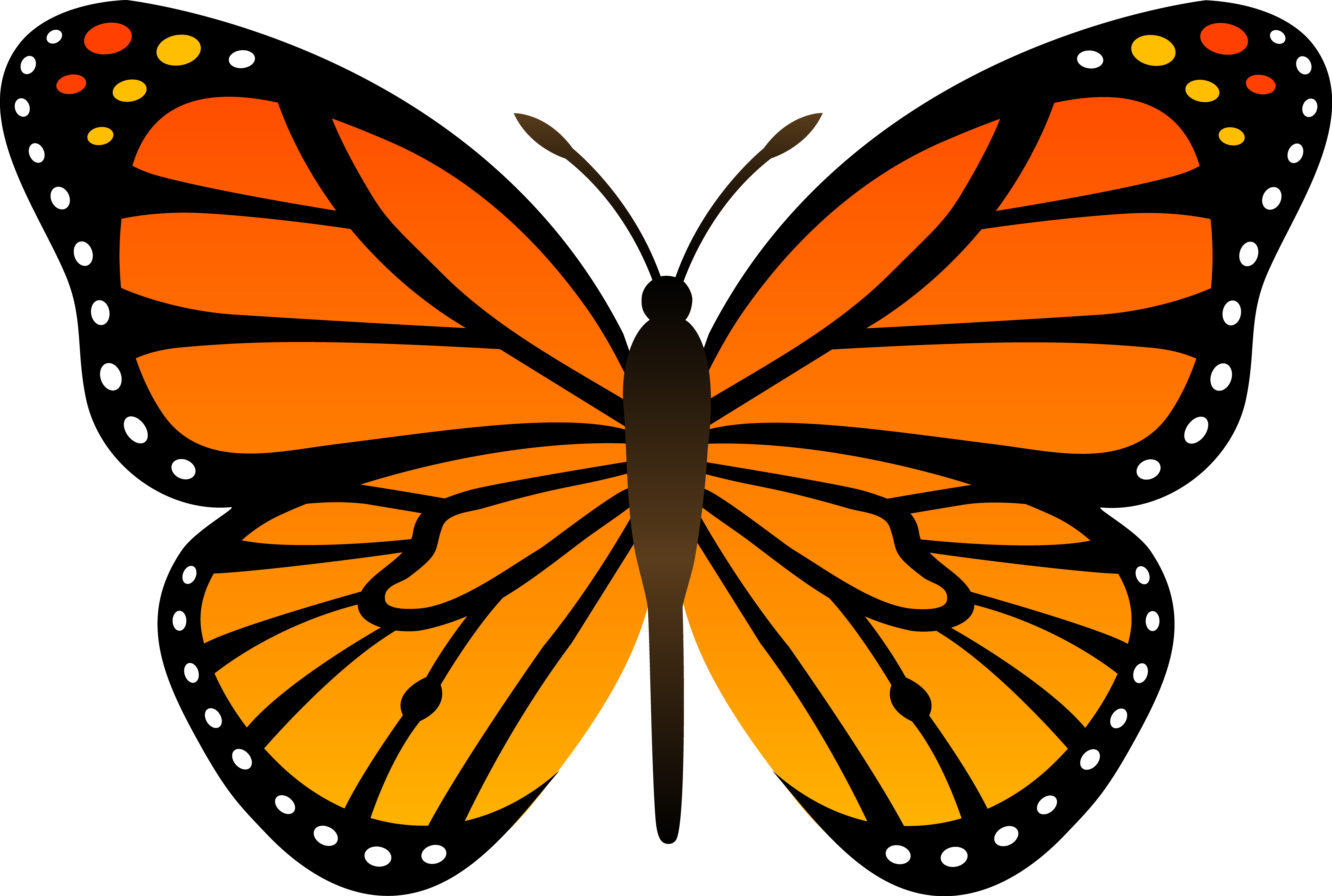 18 Picture Butterfly Vector Clip Art Images