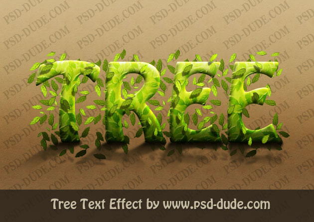 11 PSD Tree Font Images