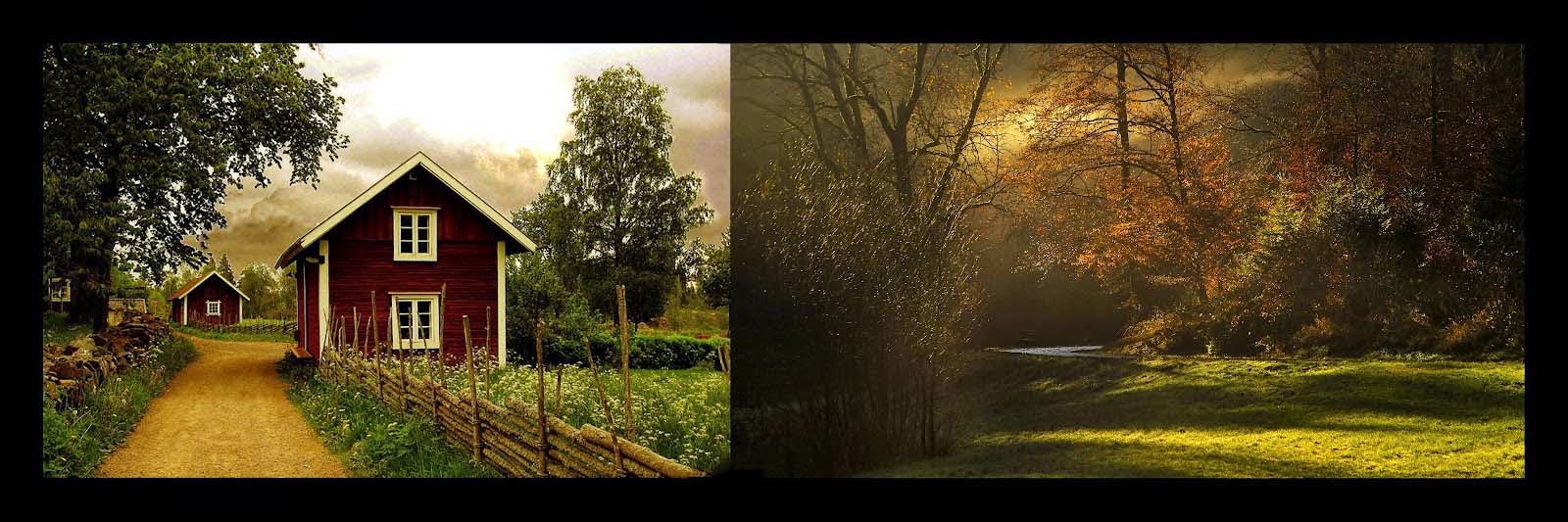 PSDs Backgrounds 12X36 Works Creations PSDs Backgrounds 12X36 Works Creations