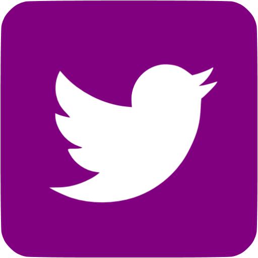 Purple Facebook Twitter Icons