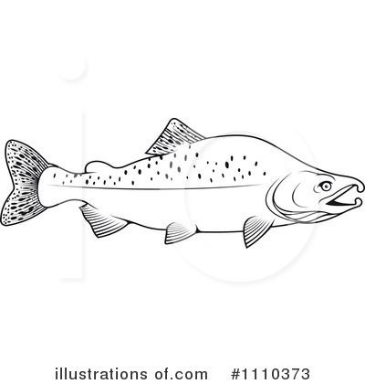 Salmon Clip Art Black and White Outline