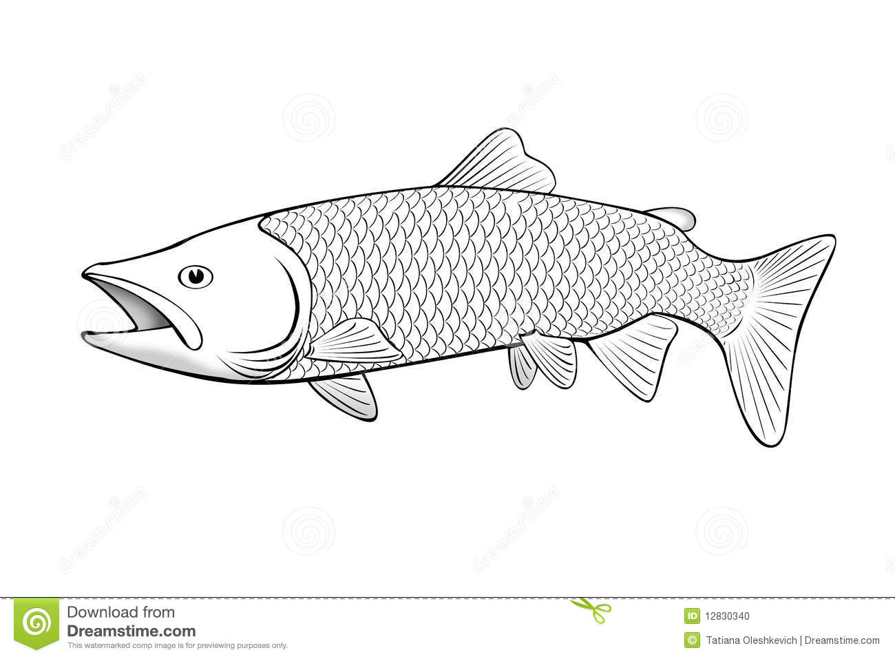 Salmon Clip Art Black and White