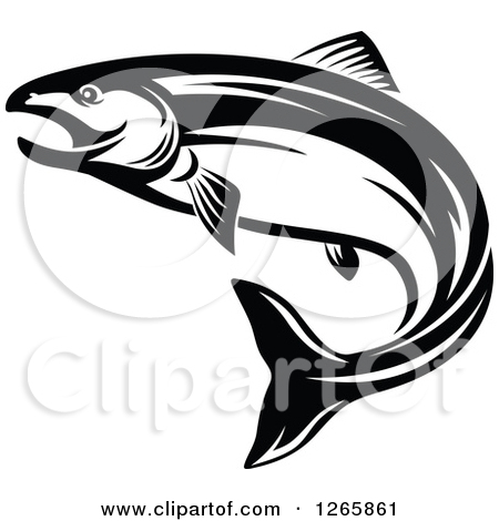 Salmon Fish Clip Art Black and White