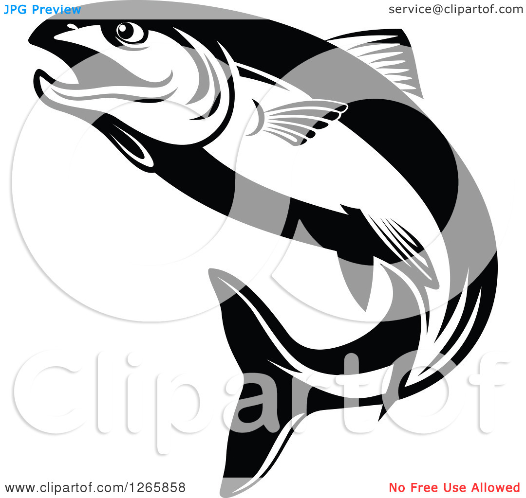 Salmon Fish Clip Art Black and White