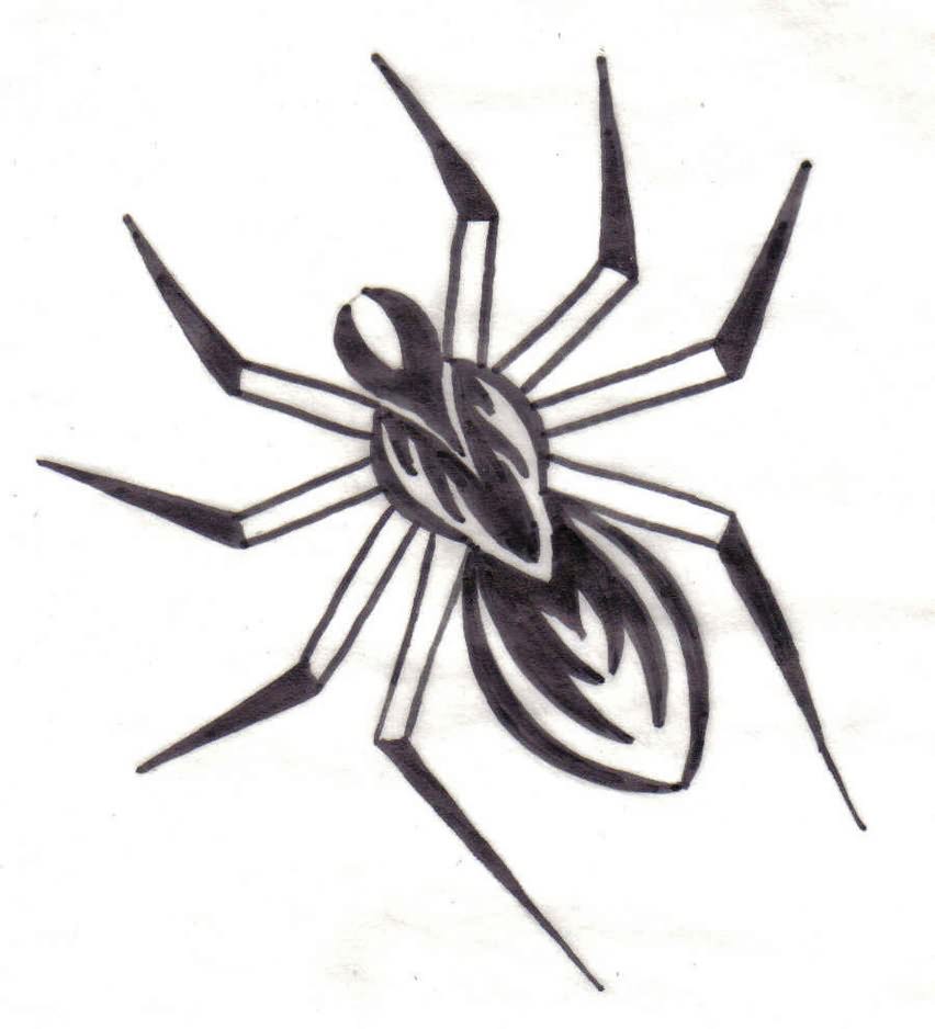 Spider Web Tattoo Design Drawings