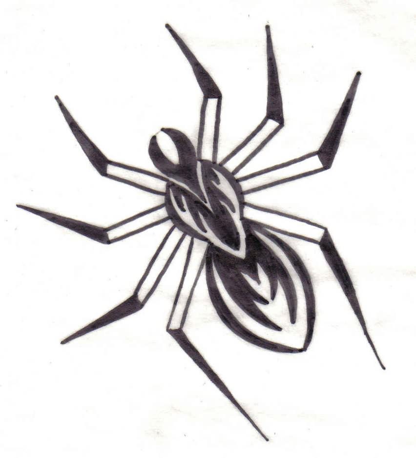 Spider Web Tattoo Design Drawings Spider Web Tattoo Design Drawings