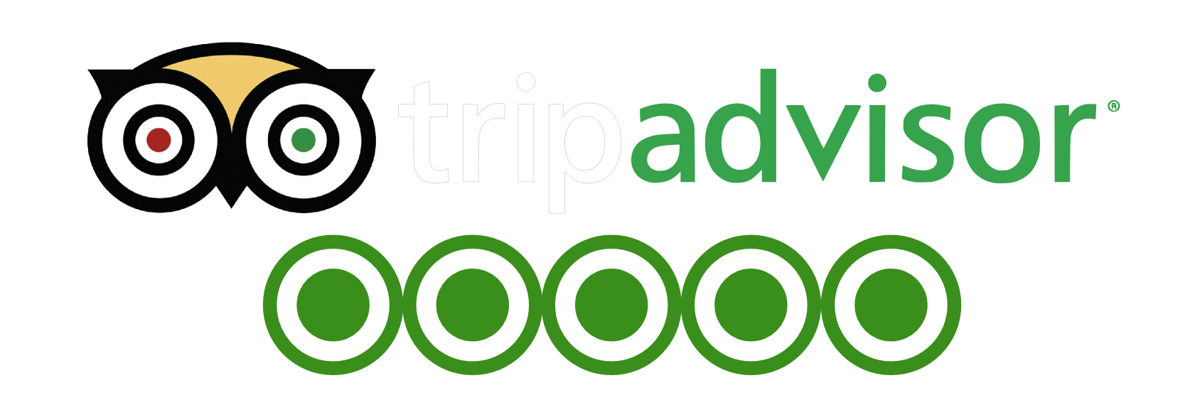 TripAdvisor Logo