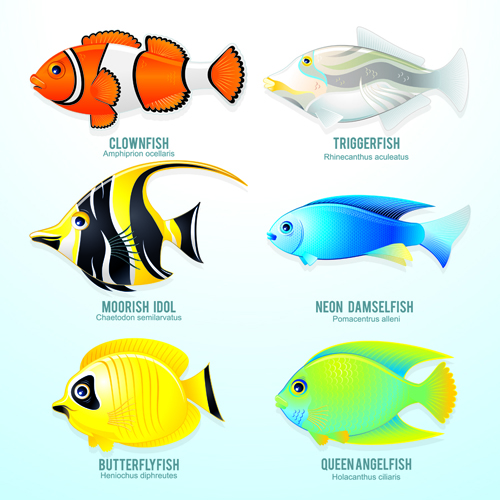 Tropical Fish Vector