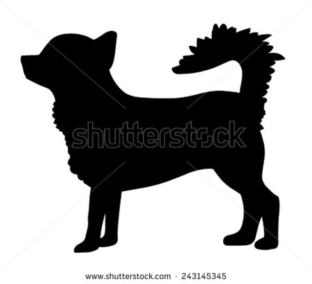 Vector Long Hair Chihuahua Dogs