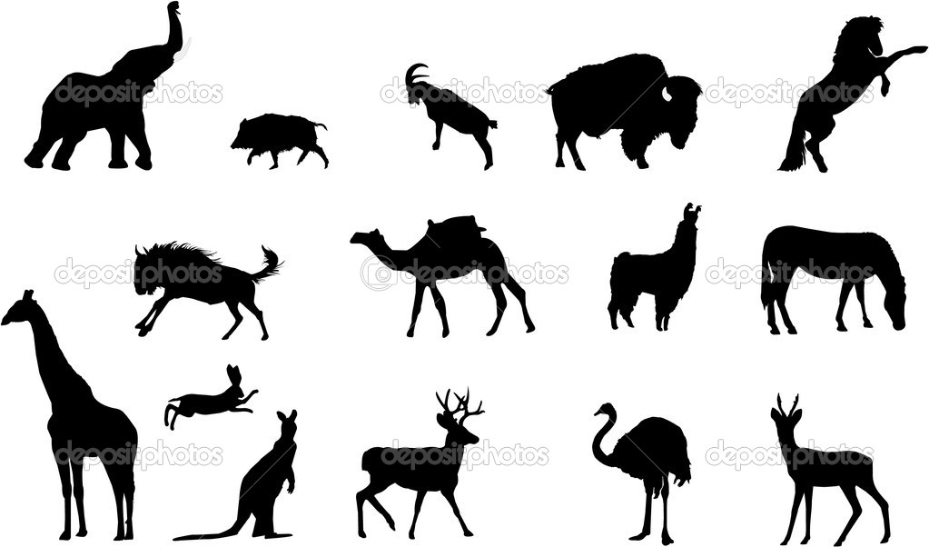 Wild Animal Silhouettes