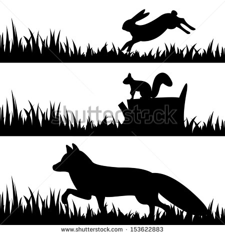 Wildlife Silhouettes