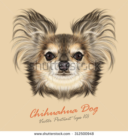 Yellow Dog Breeds Chihuahuas Pictures