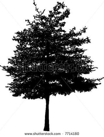 Ash Tree Silhouette