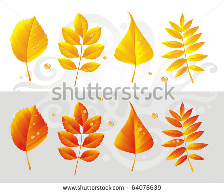 Aspen Leaf Vector Clip Art