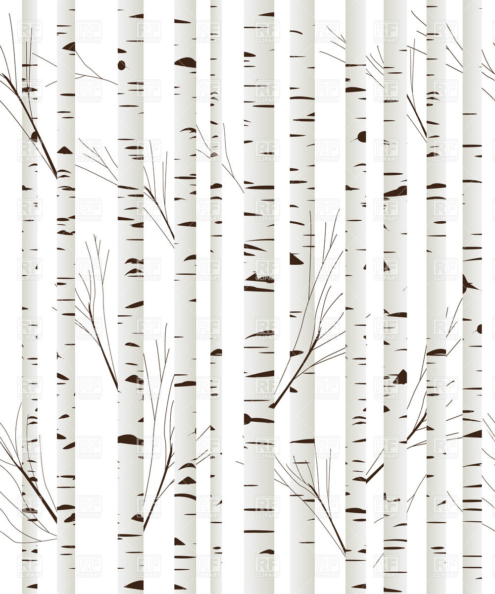 7 Birch Tree Silhouette Vector Images