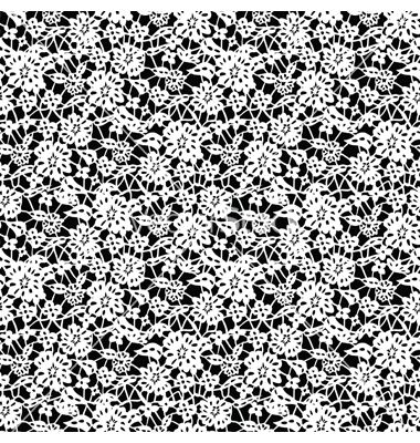 Black and White Lace Pattern