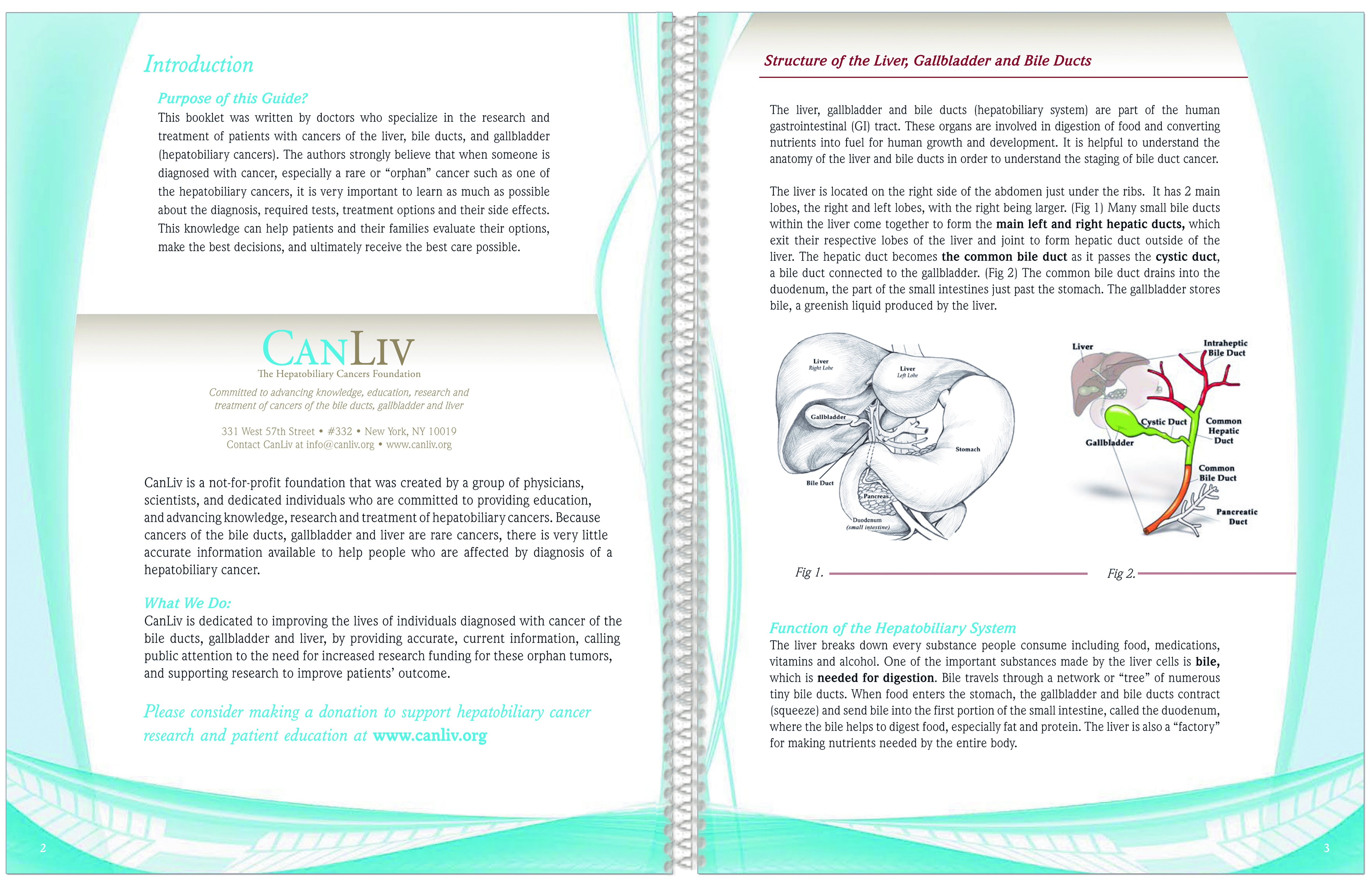 Book Page Layout Design