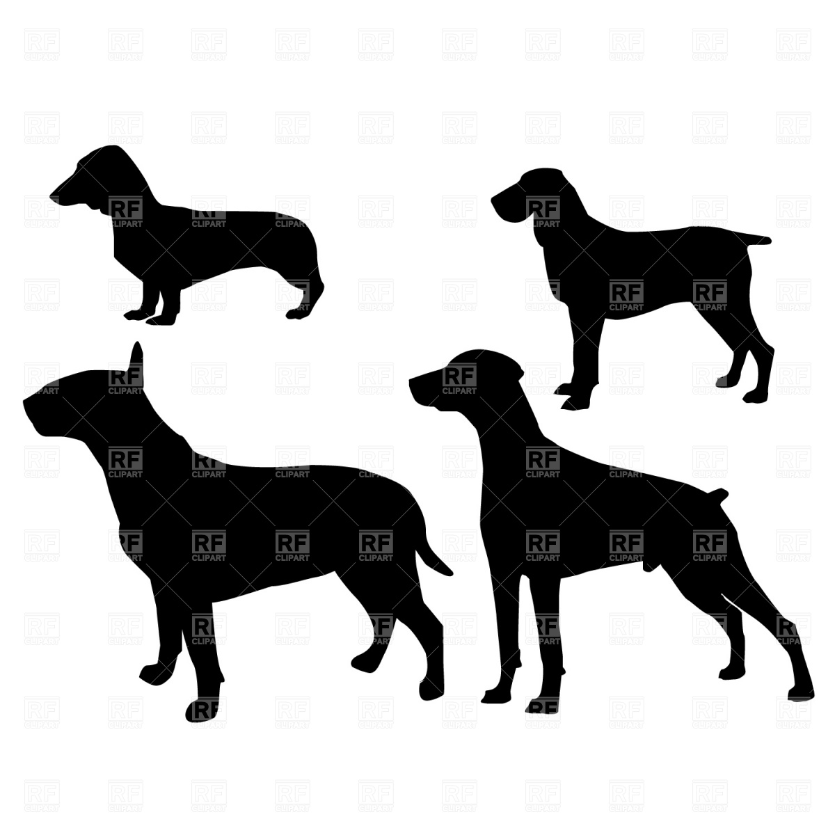 Bull Terrier Silhouette