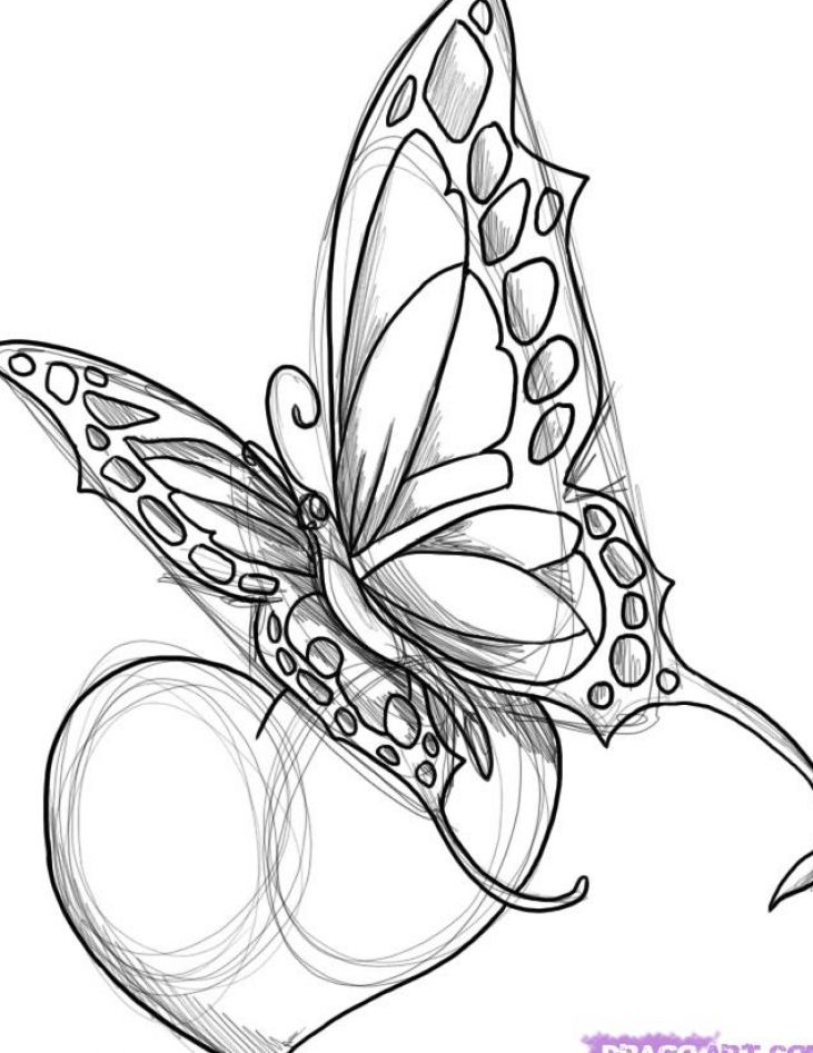 Butterfly Drawing Tattoo Designs