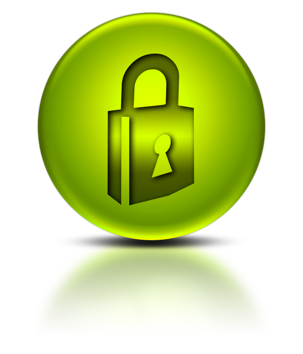 Check Security Lock Icon