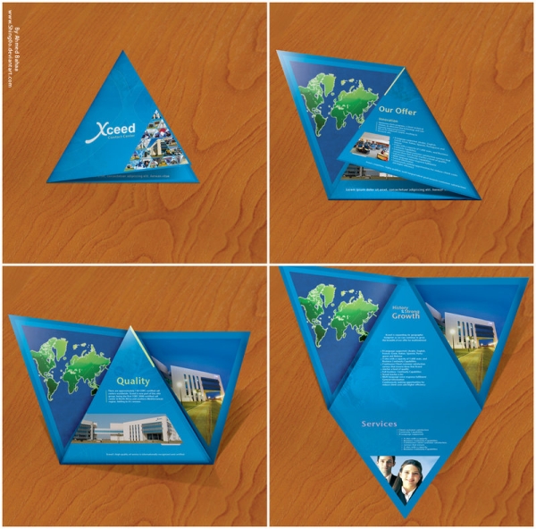 Cool Brochure Design Ideas