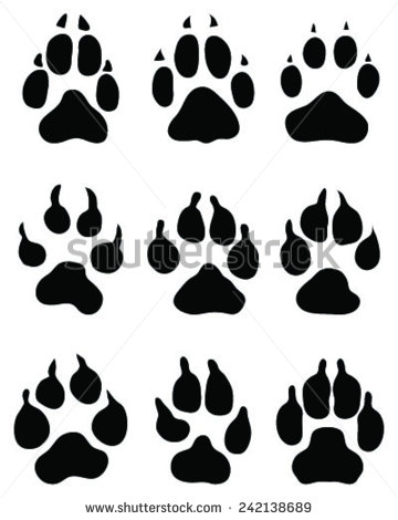 Dog Paw Print Vector