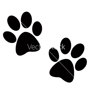 Dog Paw Print Vector