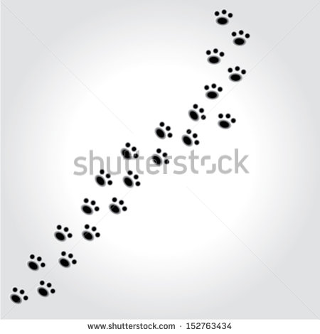 Dog Paw Print Vector