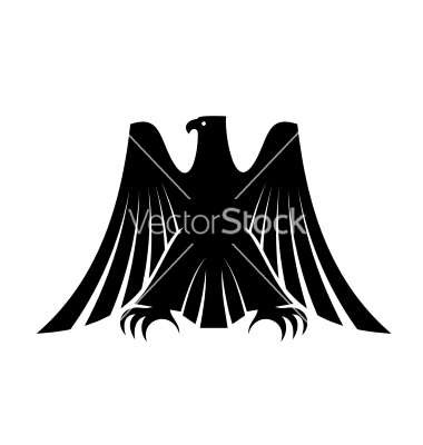 Eagle Feather Vector Eagle Feather Vector