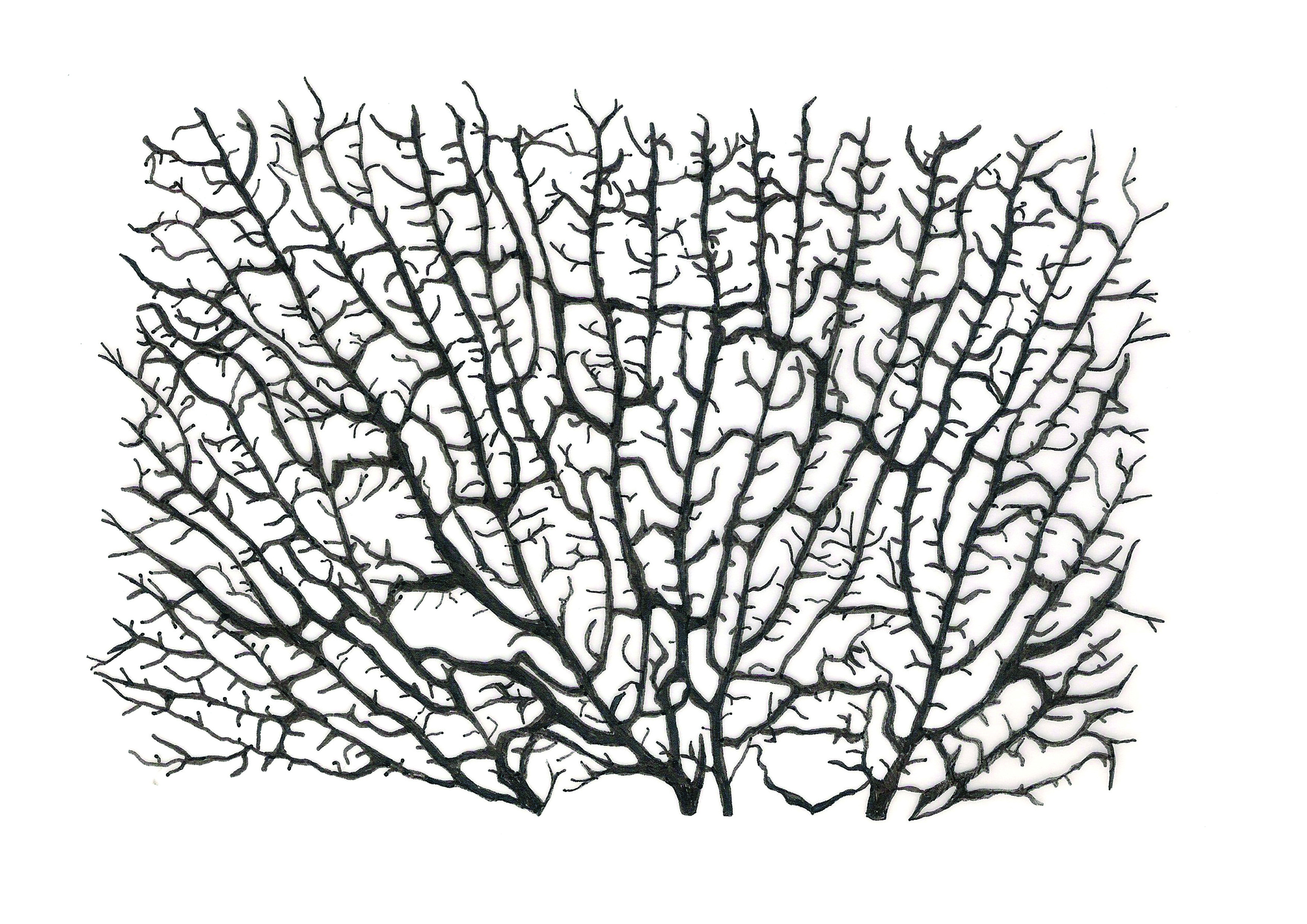 Featured image of post Cool Line Designs Easy - Perhaps robocode itself isn't suited to the task, but this kind of thing is a good way to relate written code to visual actions on the.