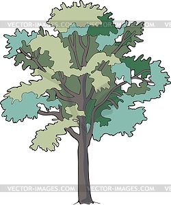 12 Ash Tree Vector Images