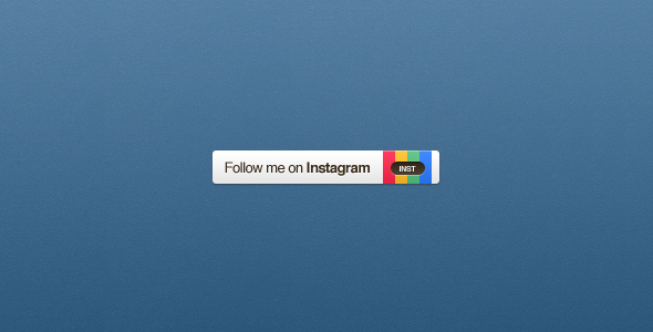 Follow Us On Instagram Button