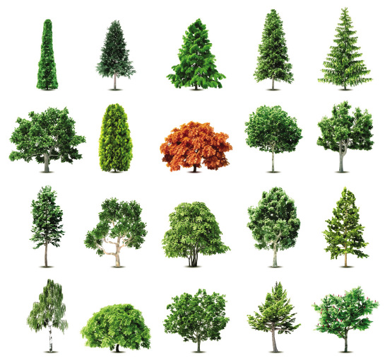 Free Vector Trees