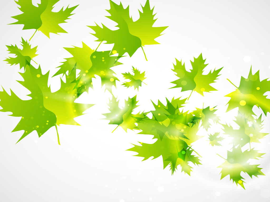 Green Leaf Vector