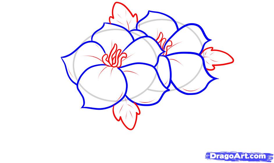 How to Draw an Easy Flower Design