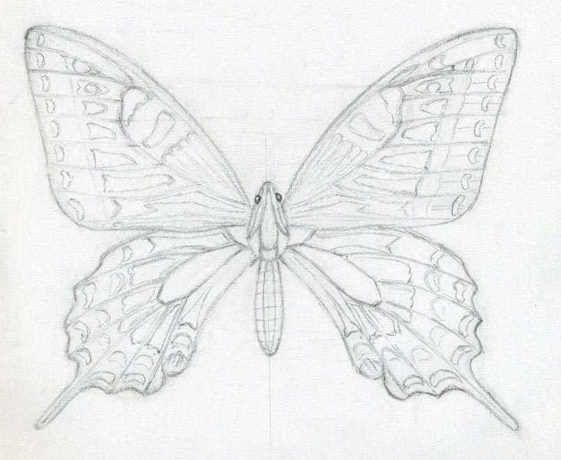How to Draw Easy Butterflies
