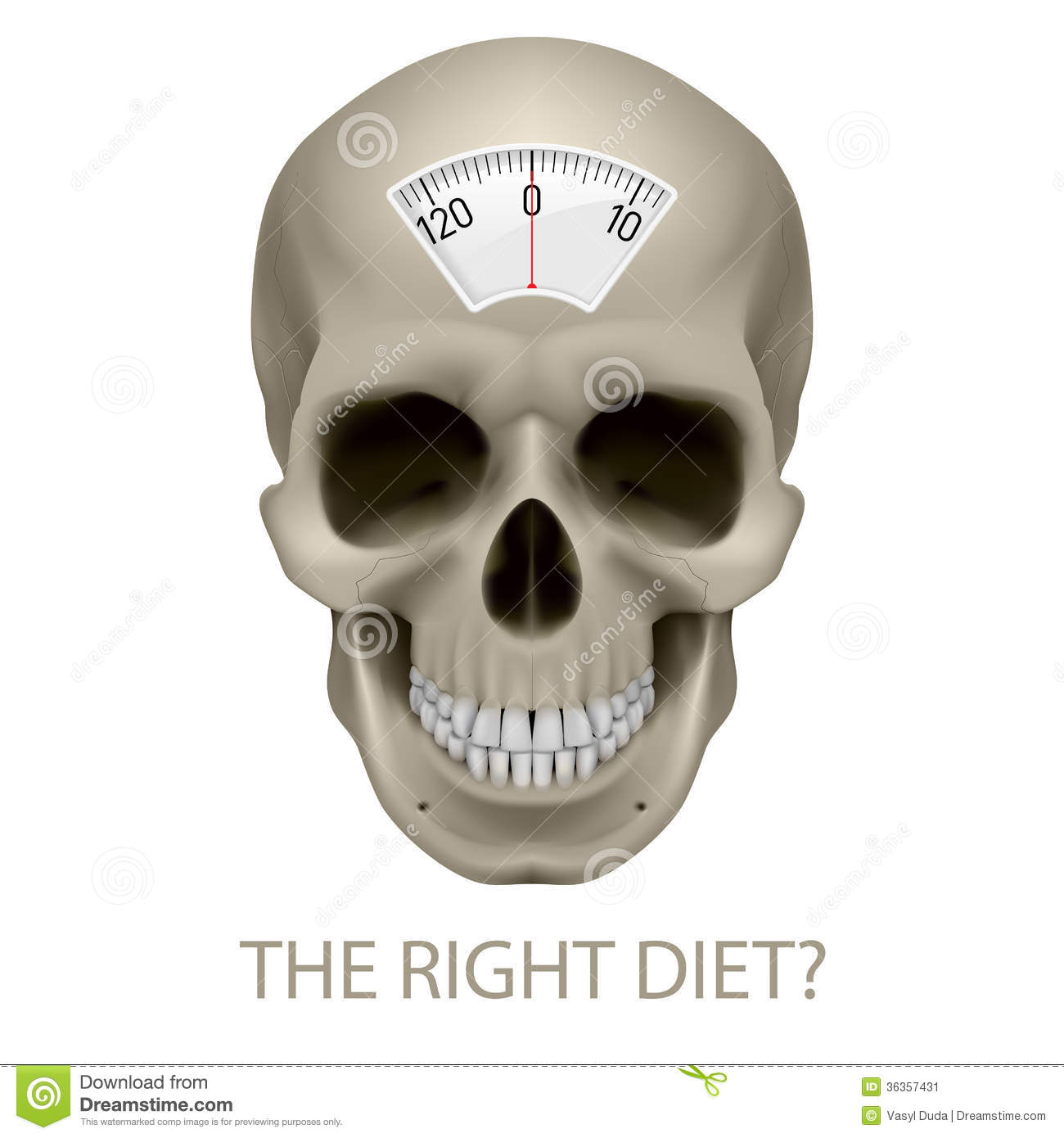 Human Skull Front View