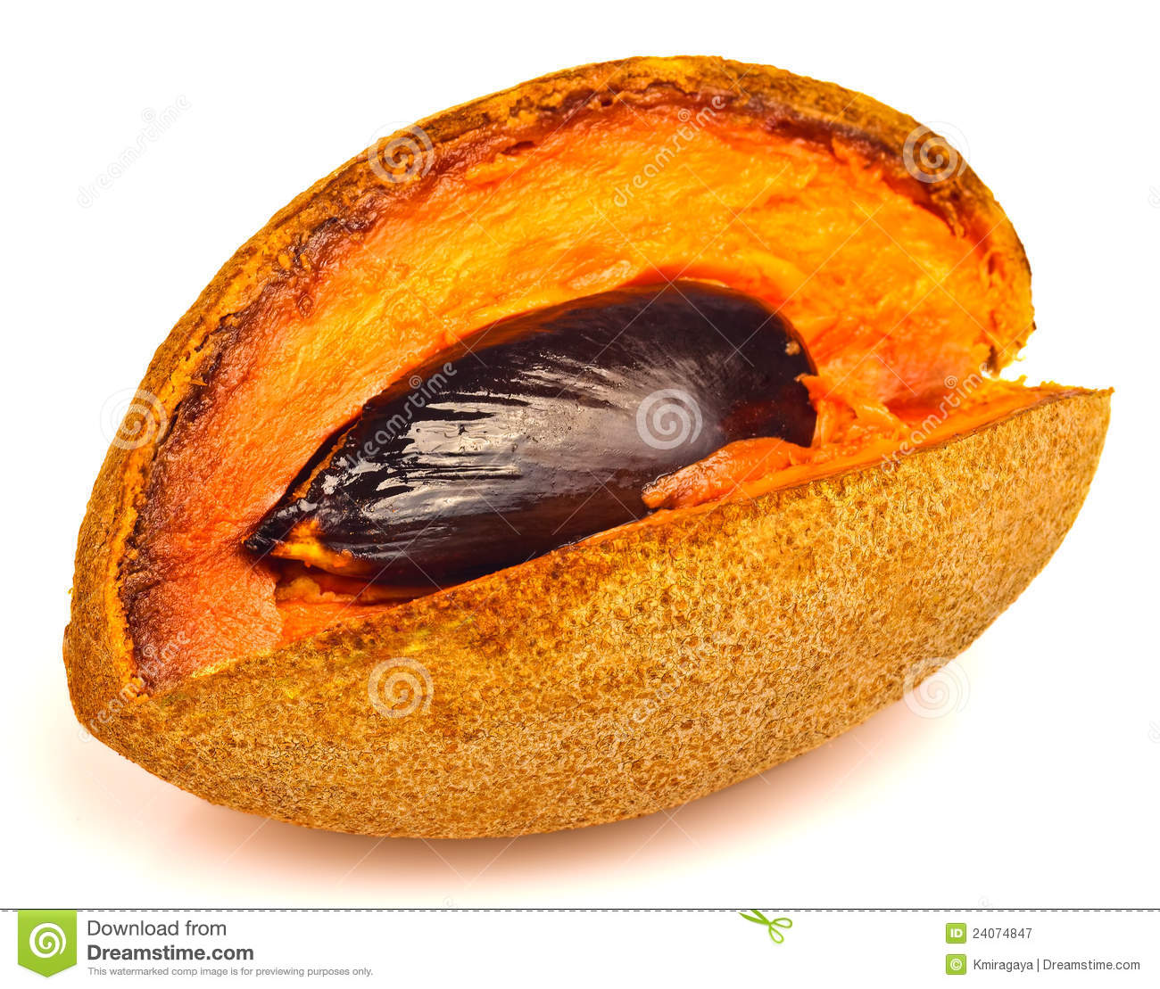 Mamey Fruit Cartoon