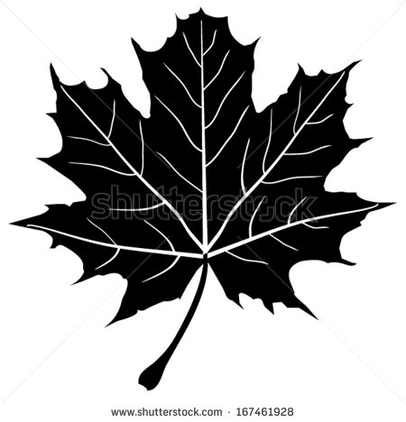 Maple Leaf Silhouette Vector