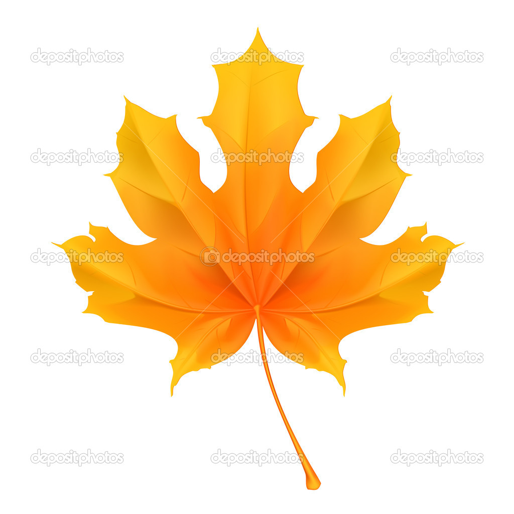 Maple Leaf Vector Clip Art