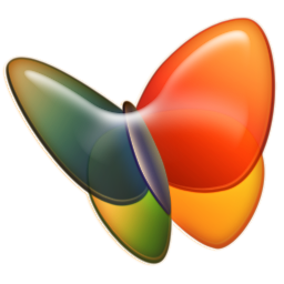 MSN Messenger Icon