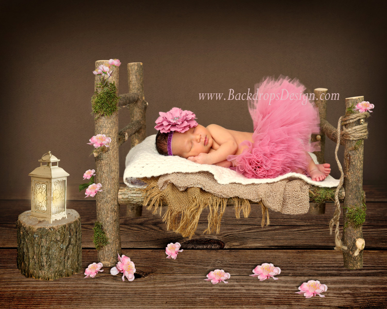 Newborn Photography Bed Prop